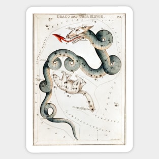 The Draco and the Ursa Minor by Sidney Hall (1831) Sticker